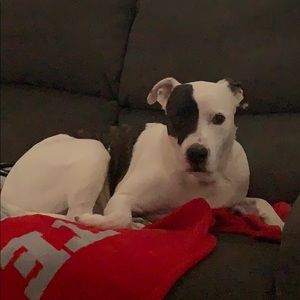 Meet your Posher, Casey